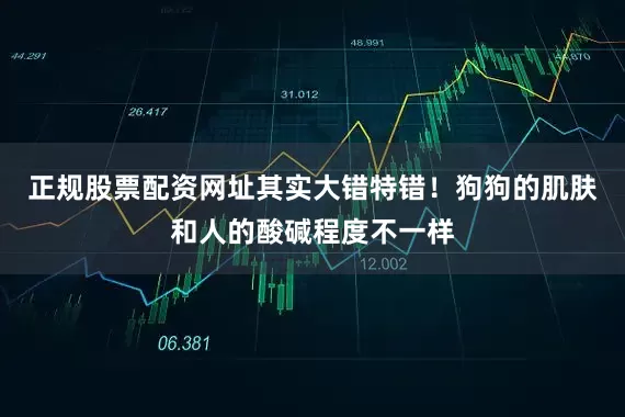 正规股票配资网址其实大错特错！狗狗的肌肤和人的酸碱程度不一样